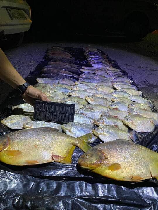 batalhao ambiental da pm apreende 45 quilos de pescado irregular durante fiscalizacao