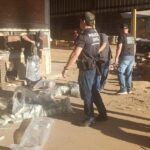 policia civil incinera 300 quilos de entorpecentes em rondonopolis