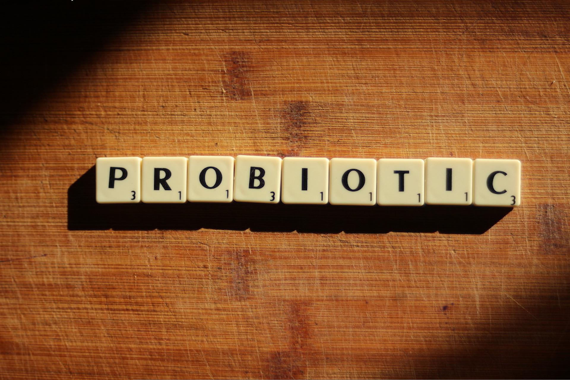 O que são probióticos?