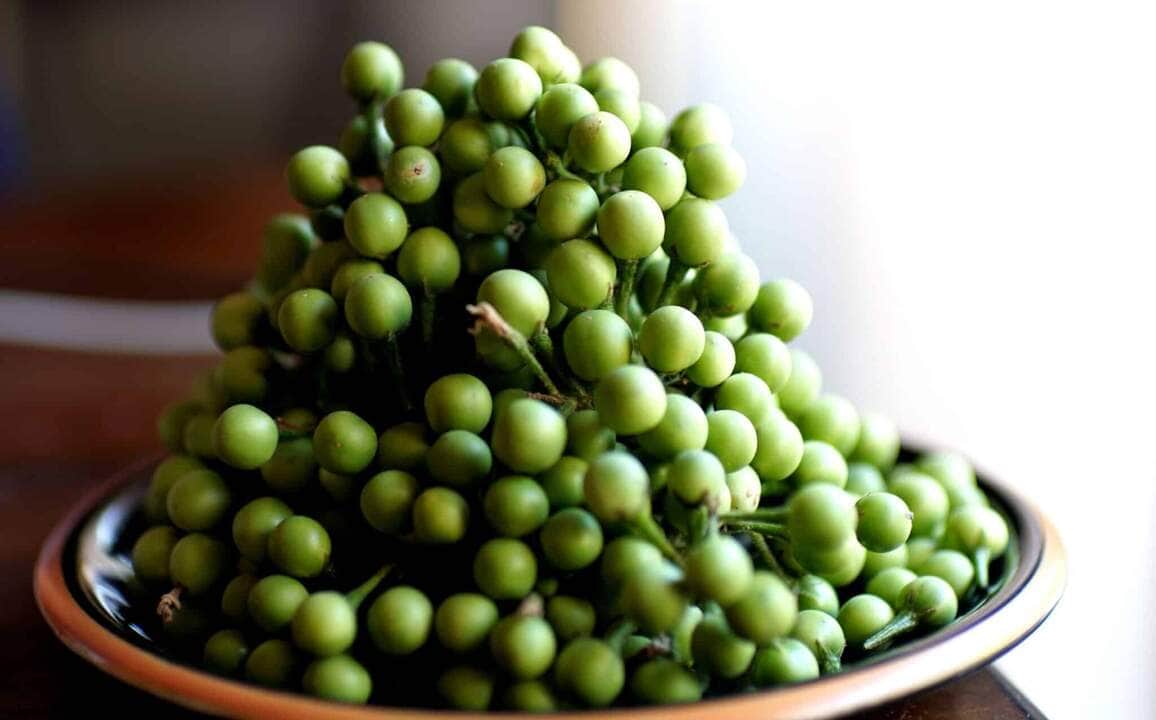 como fazer conserva de jurubeba