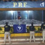 PRF apreende 195 kg de cocaína em Mato Grosso