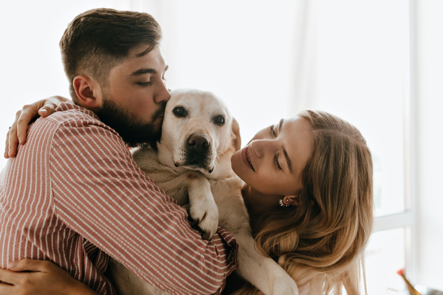 Doença do carrapato em cachorro passa para humanos? Você não vai acreditar