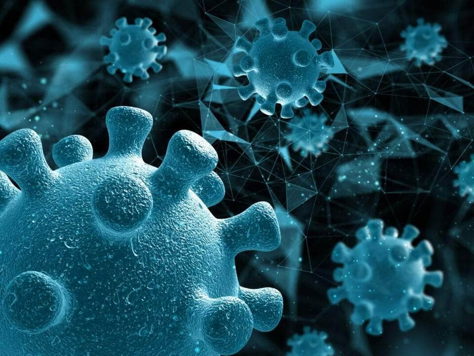 Como Os Vírus E Bactérias Agem No Organismo Brainly