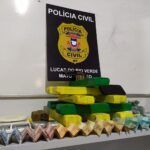 Polícia Civil apreende mais de 10 kg de droga em Lucas do Rio Verde