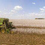 Condições climáticas derrubaram produtividade média em todo Mato Grosso