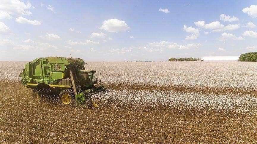 Condições climáticas derrubaram produtividade média em todo Mato Grosso