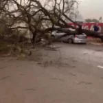 Chuva e ventania são registradas em cidades de Mato Grosso