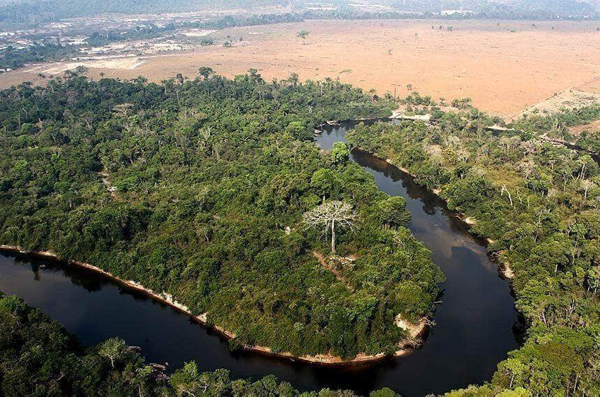 cma pode fazer ciclo de debates sobre ocupacoes ilegais na amazonia