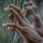 fence 2163951 1920