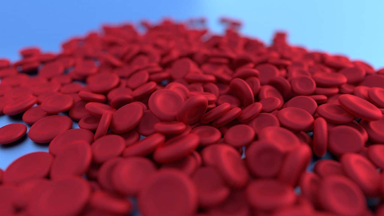 Remédio para anemia, qual o melhor? Não perca tempo quando o assunto é a sua saúde