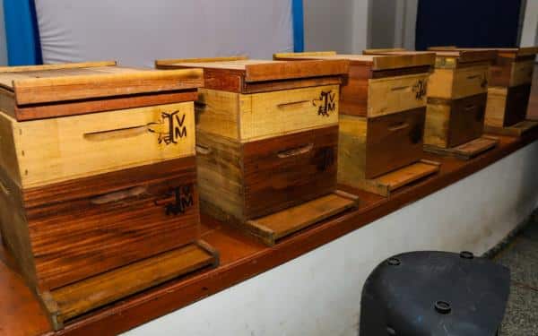 apicultores recebem caixas colmeia para producao de mel