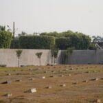 cemiterio municipal jardim da paz esta sendo revitalizado