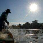 entra em vigor periodo de defeso do cherne peixe batata e piramutaba