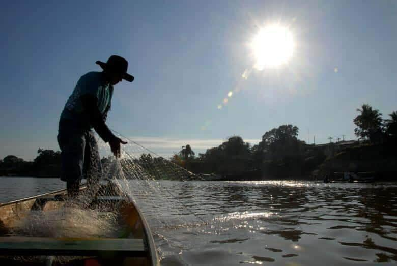 entra em vigor periodo de defeso do cherne peixe batata e piramutaba