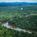 grilagem de terras na amazonia volta a ser debatida na cma