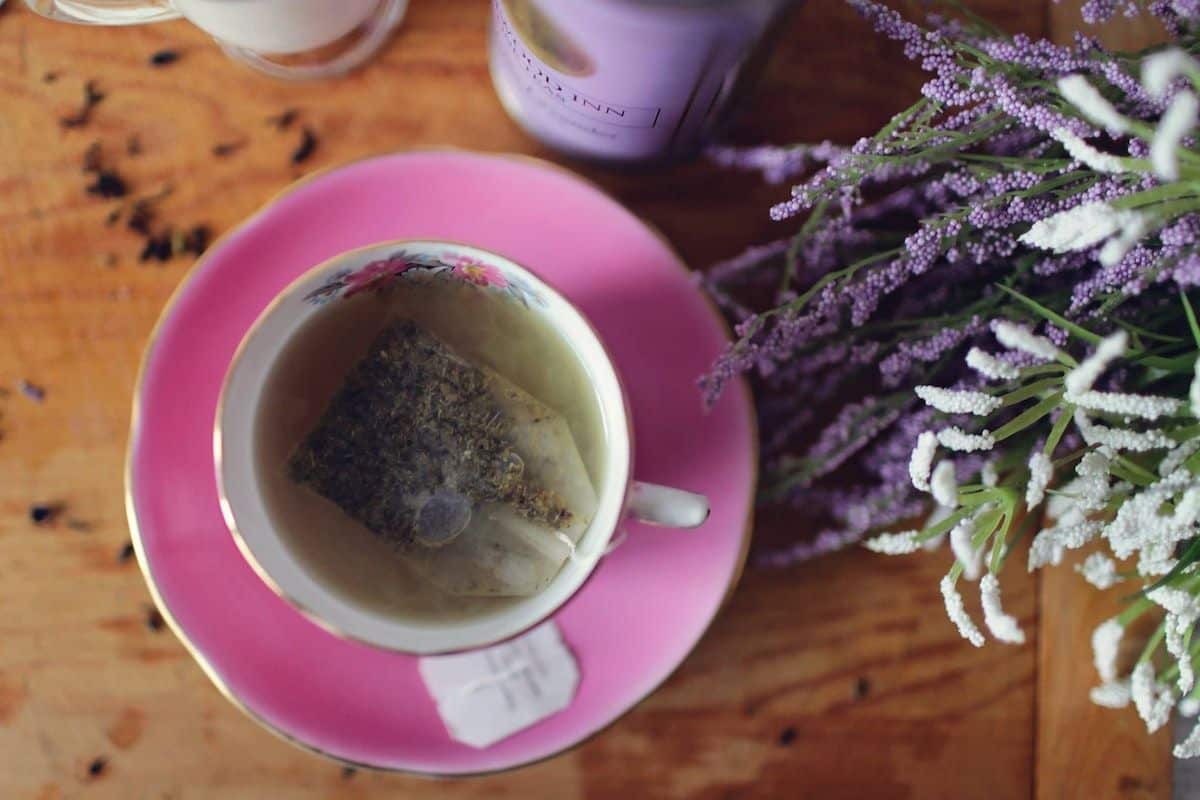 Chá de arruda: como fazer e para que serve? Cuide de forma natural de você