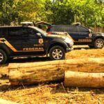 policia federal flagra desmatamento na floresta nacional do araripe ce