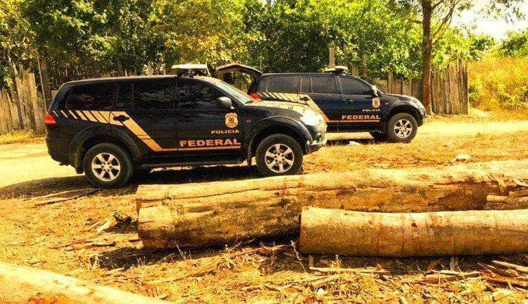 policia federal flagra desmatamento na floresta nacional do araripe ce