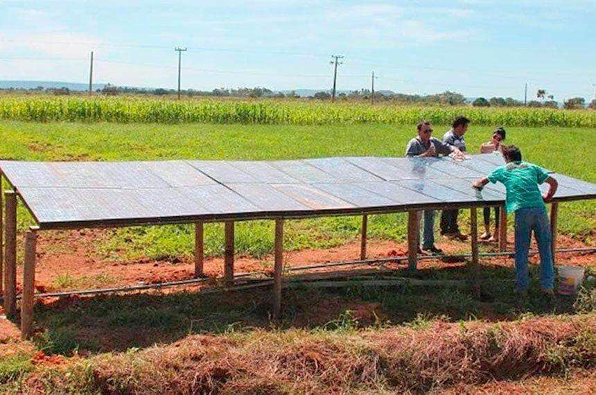 projeto estimula microgeracao solar na agricultura familiar