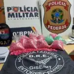 Polícia apreende 12 mil comprimidos de ecstasy; um homem foi preso