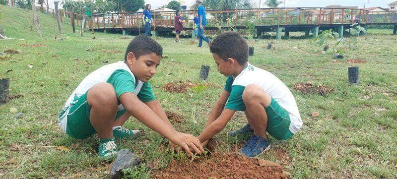 acao de arborizacao resulta no plantio de mais 600 mudas de arvores no parque da nascente