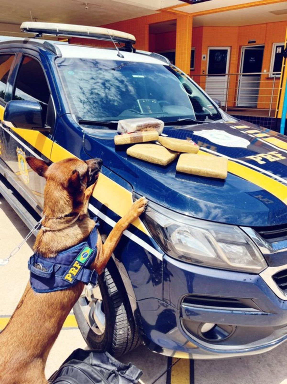 PRF apreende cerca de 18Kg de maconha em abordagem a ônibus