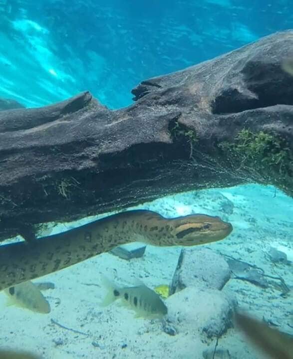 Nobres é região rica em belezas naturais. Nos meandros da Serra do Tombador escondem-se verdadeiras maravilhas esculpidas pela natureza, com inúmeras cachoeiras e grutas, e algumas totalmente inexploradas