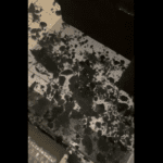 Captura de Tela 2022 10 03 às 10.27.36