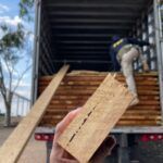 PRF apreende madeira transportada irregularmente em Alto Garças/MT