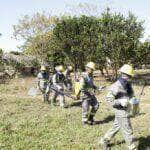 acoes do corpo de bombeiros resultam em reducao de 85 de incendios florestais em aldeia indigena