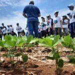 alunos de sorriso participam de atividades do programa filhos no campo