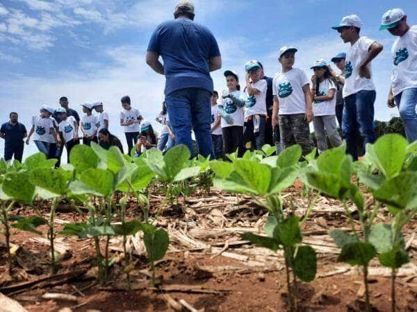 alunos de sorriso participam de atividades do programa filhos no campo