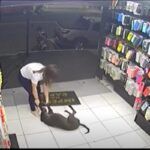 De acordo com relatos, há dois meses que o cachorro aparece na loja, justamente na hora em que a funcionária se prepara par fechar o estabelecimento, localizado em Caldas Novas, em Goiás (GO)