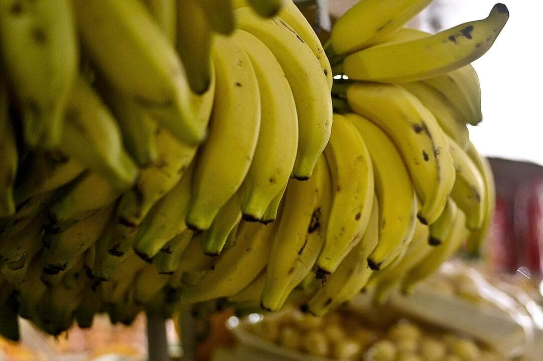 conab menor oferta eleva precos de hortalicas e frutas em setembro scaled