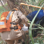 corpo de bombeiros militar localiza idoso que estava desaparecido em mata