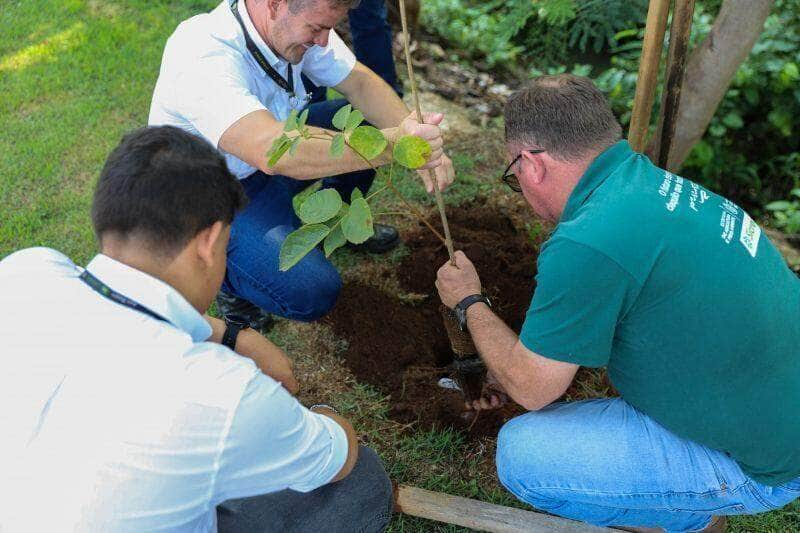 meio ambiente realiza plantio de mudas de arvores no lago ernani machado