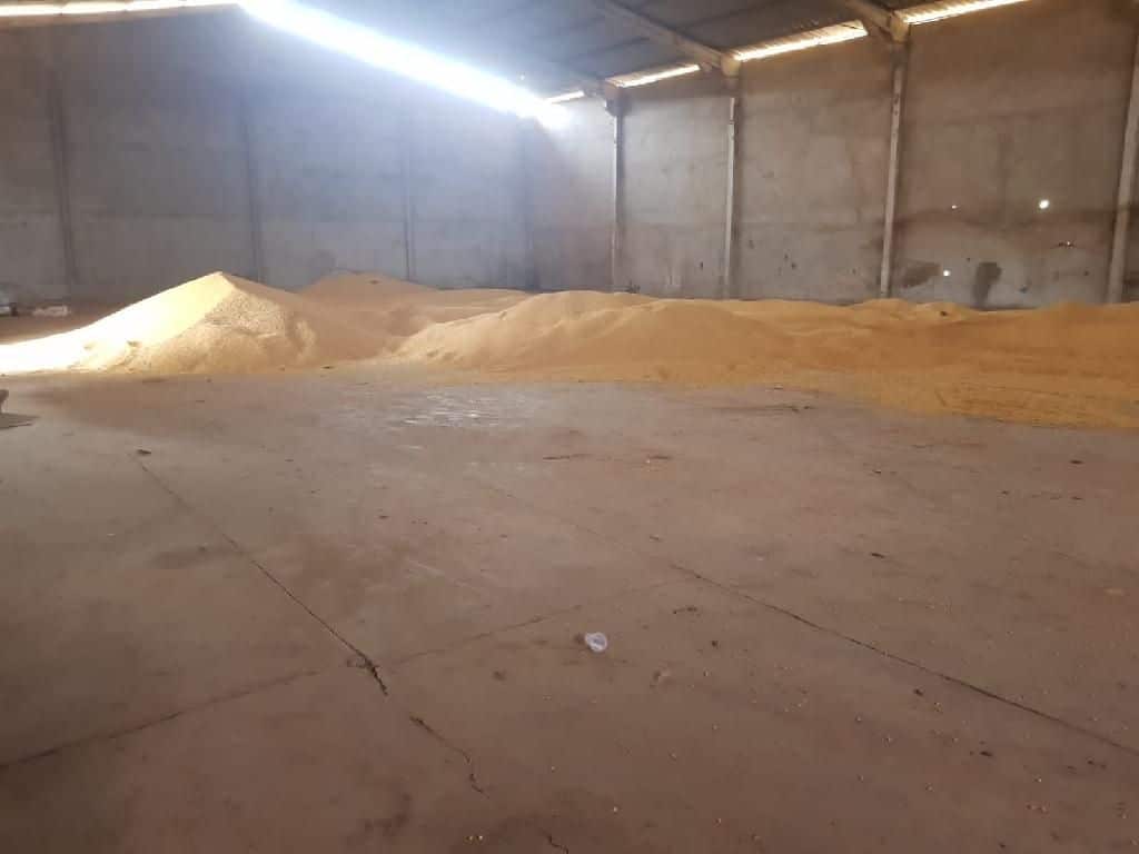pm recupera 50 toneladas de carga de milho e prende suspeito em pedra preta