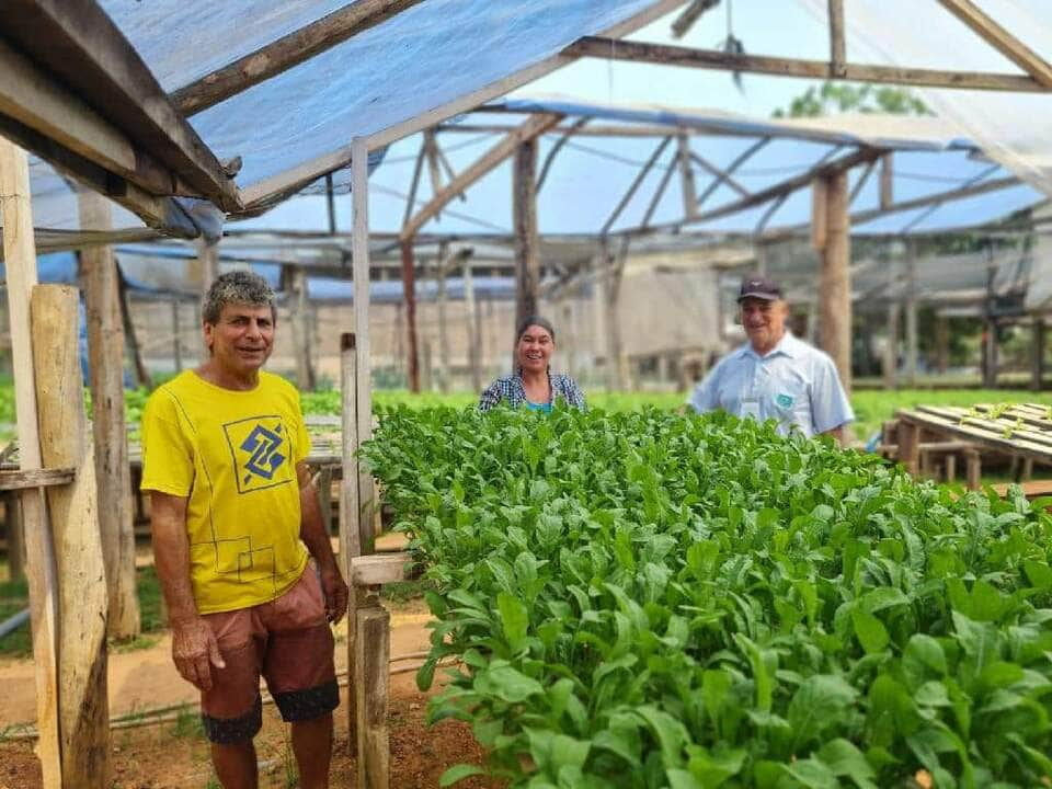 referencia na producao de hortalicas casal recebe assistencia tecnica da empaer