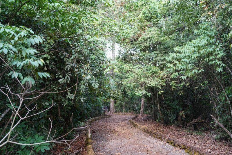 secretaria de agricultura e meio ambiente promove limpeza no lago ernani machado e na trilha do parque dos buritis