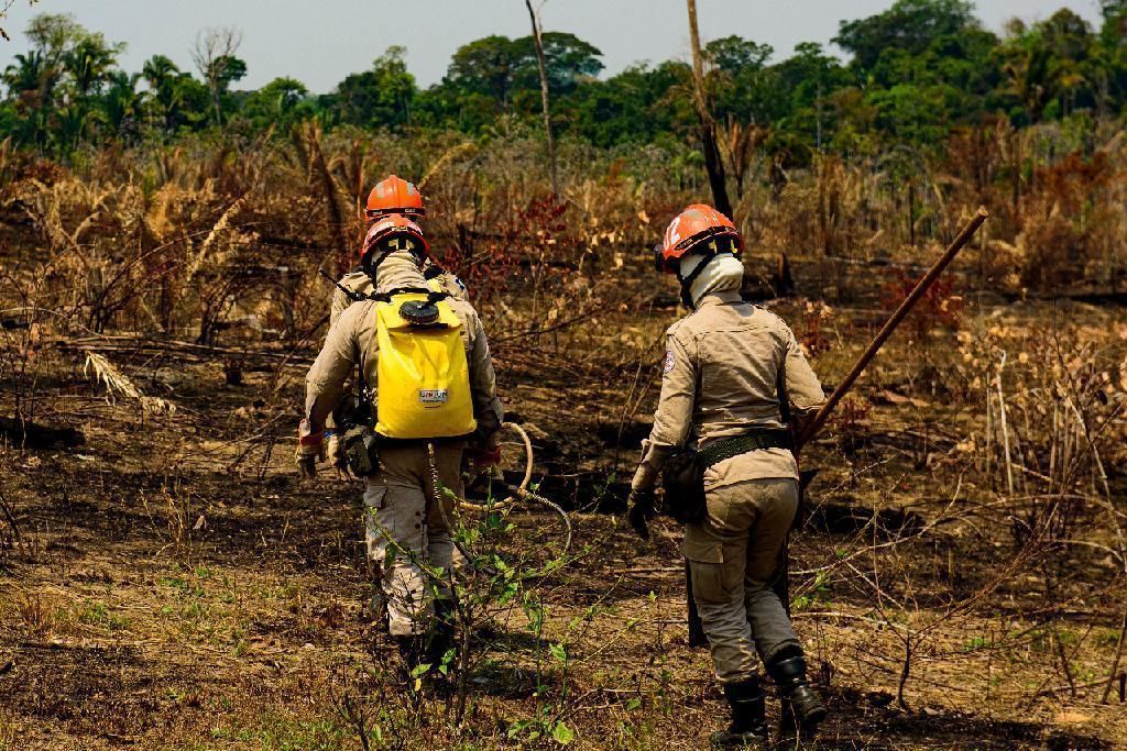 Governo de Mato Grosso lança Operação Abafa Amazônia 2022 nesta terça-feira (4)