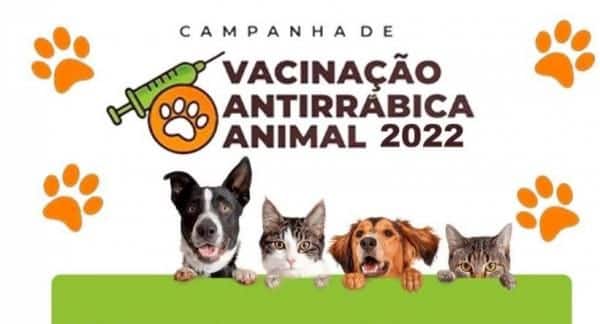 sorriso encerra campanha antirrabica animal com 100 de imunizados