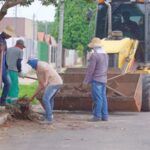 cerca de 250 cargas de lixo sao retiradas em mutirao de limpeza no municipio