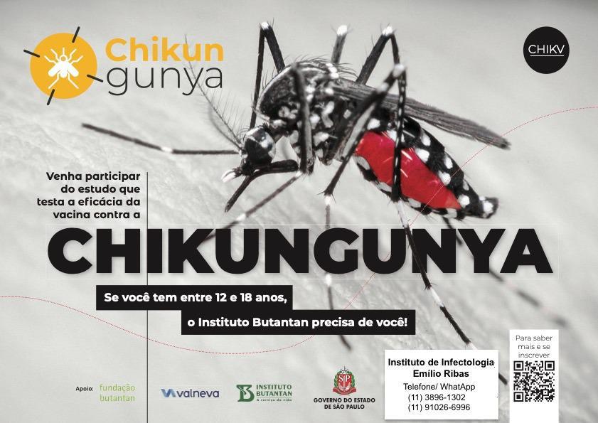 instituto recruta voluntarios para teste de vacina contra chikungunya