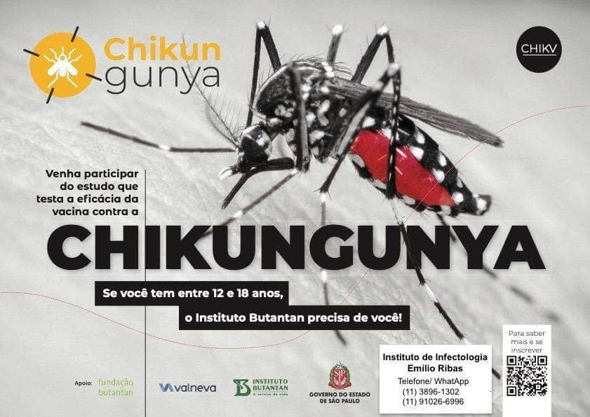 instituto recruta voluntarios para teste de vacina contra chikungunya