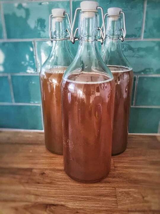 como fazer kombucha