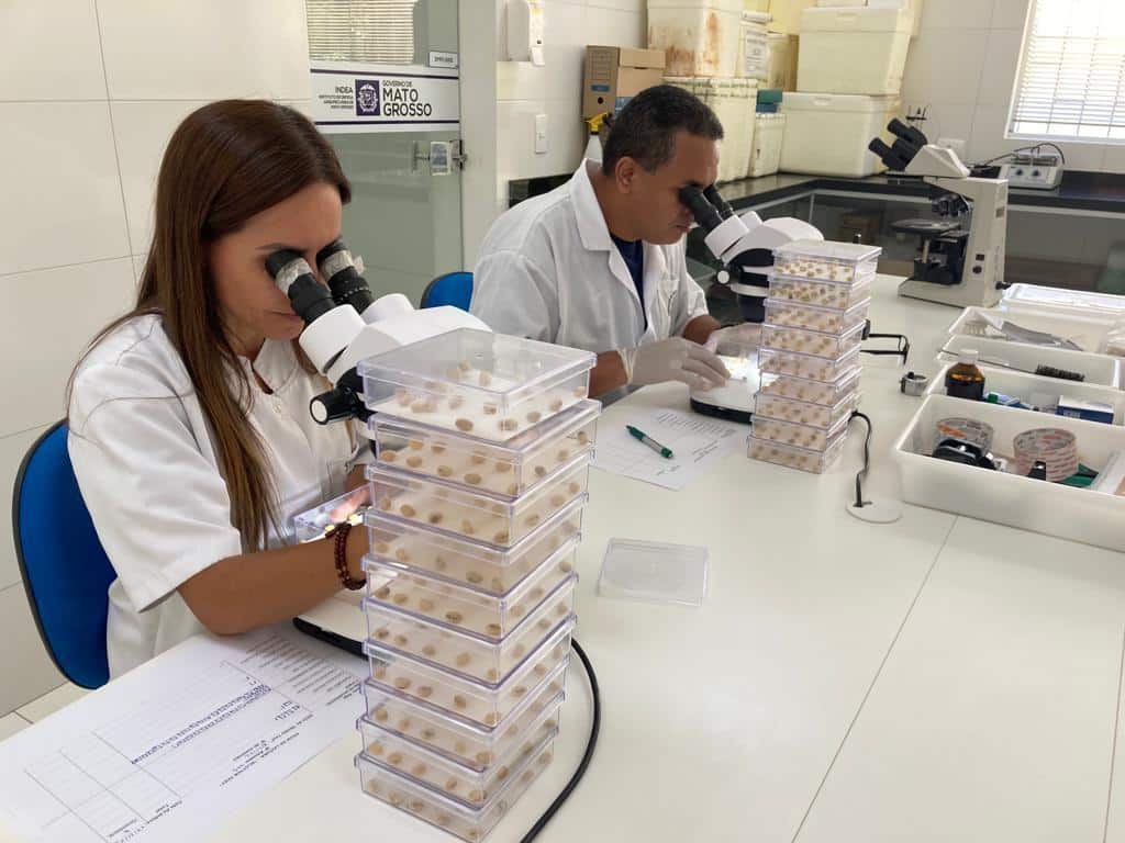 laboratorio do indea auxilia no combate a doencas na agropecuaria
