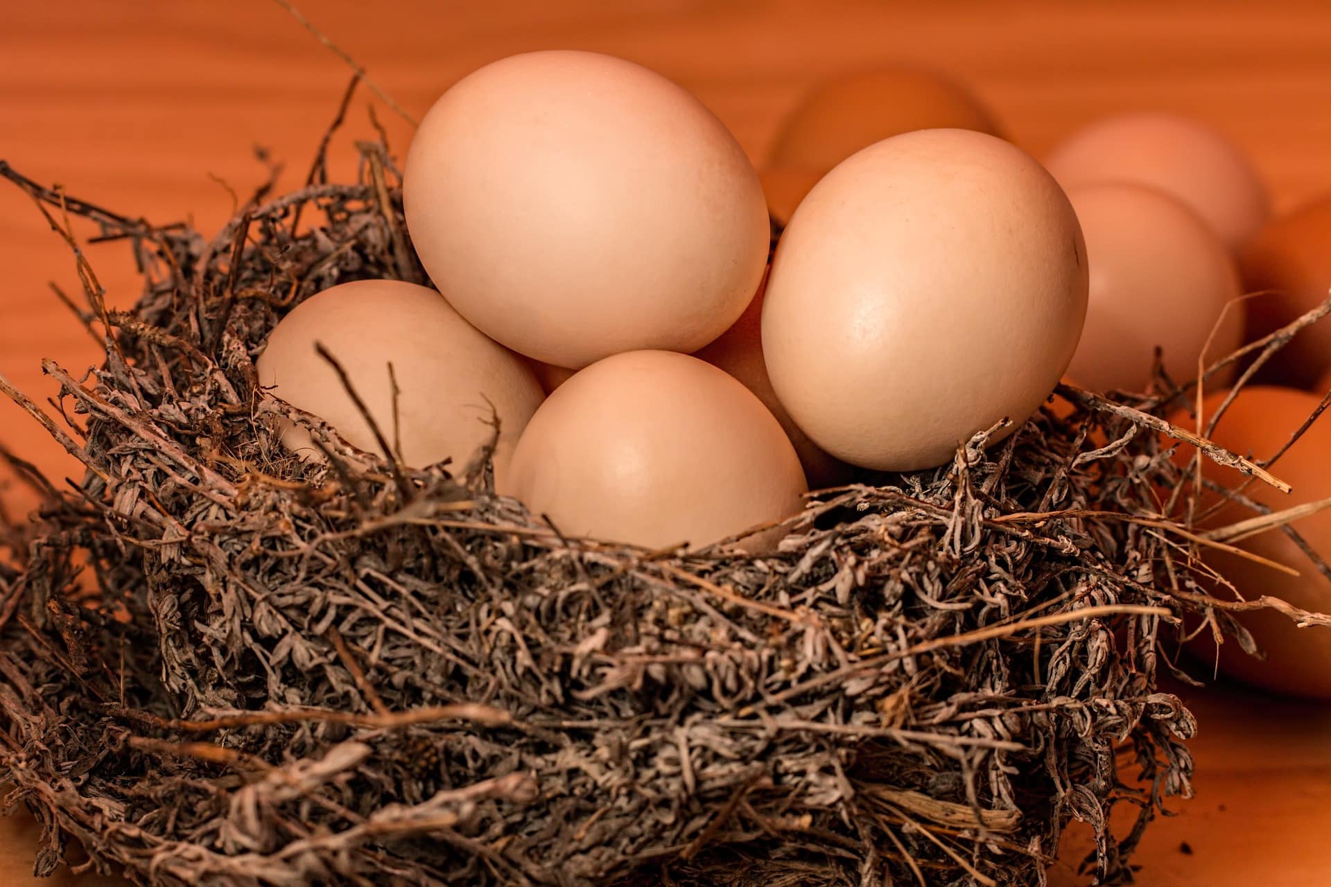 Curiosidades sobre o ovo que talvez você não saiba