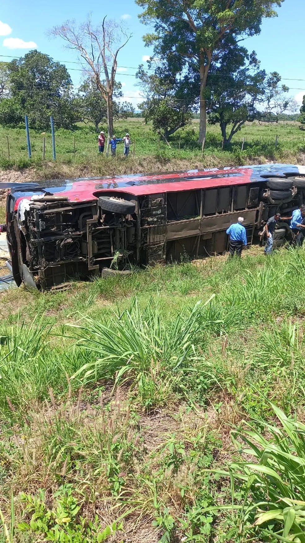 10 passageiros ficam feridos após tombamento de ônibus em MT