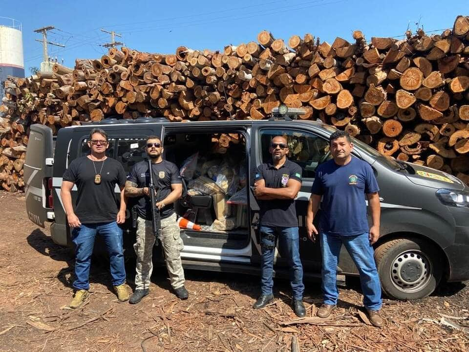 policia civil incinera aproximadamente 730 quilos de maconha em rondonopolis