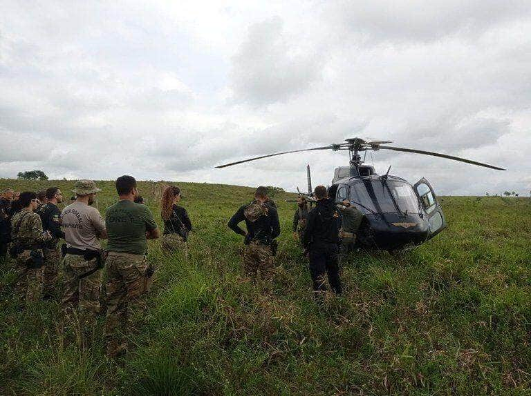 policia federal destroi 130 mil pes de maconha no para